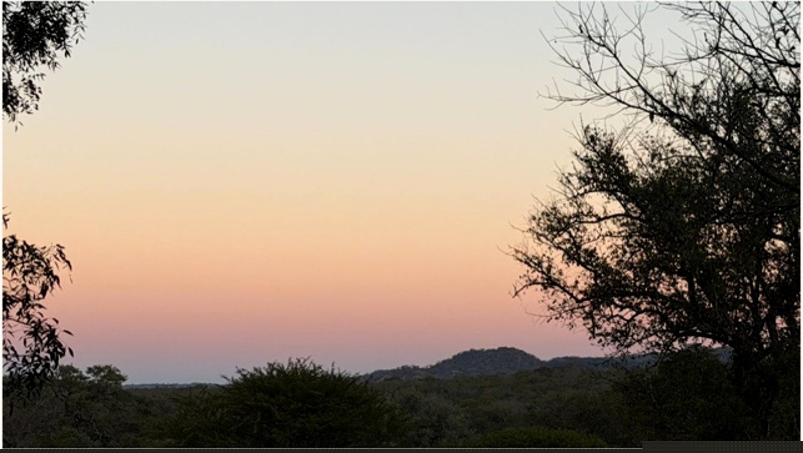 Landscape at Acacia Crown at sunset